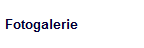Fotogalerie